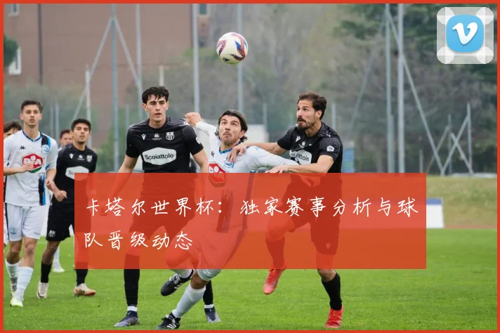 卡塔尔世界杯：独家赛事分析与球队晋级动态