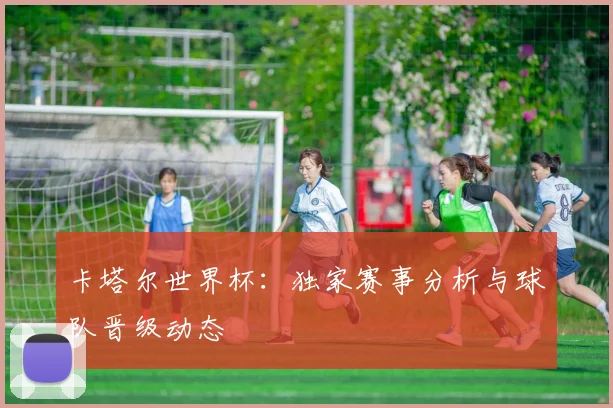 卡塔尔世界杯：独家赛事分析与球队晋级动态