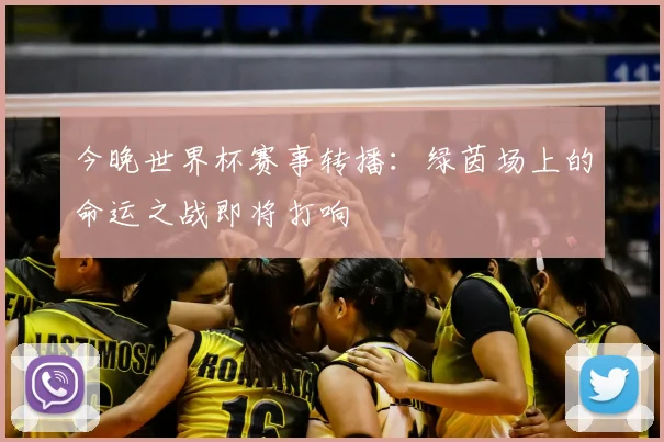 今晚世界杯赛事转播:绿茵场上的命运之战即将打响