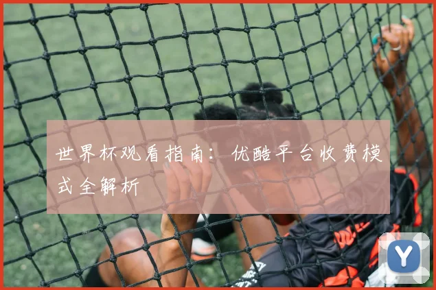 世界杯观看指南：优酷平台收费模式全解析