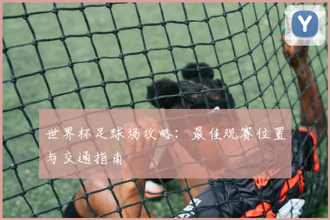 世界杯足球场攻略:最佳观赛位置与交通指南