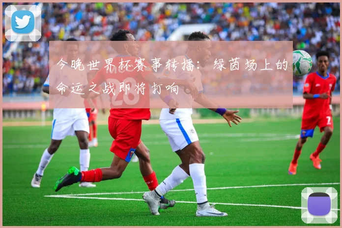 今晚世界杯赛事转播：绿茵场上的命运之战即将打响