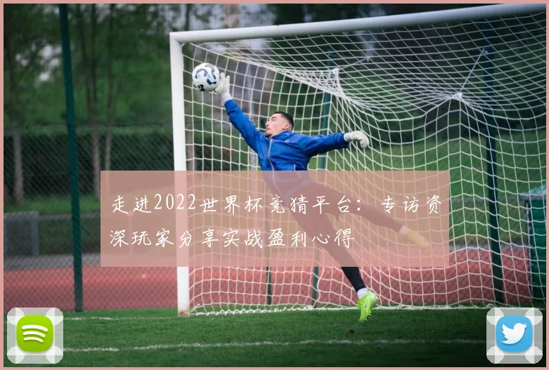走进2022世界杯竞猜平台：专访资深玩家分享实战盈利心得