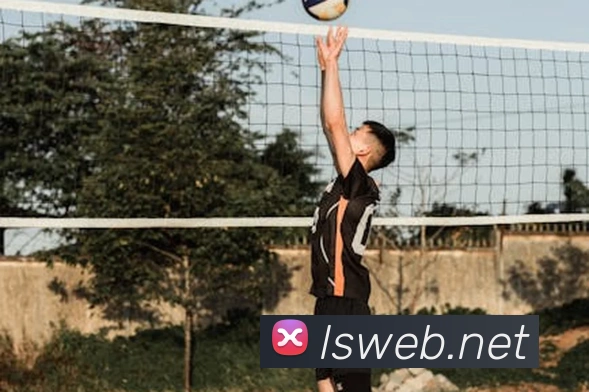 爱体育电子官网首页APP 封面图